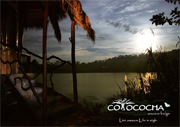 Cotococha Brochure