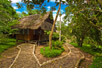 All of Cotococha's bungalows are scattered on our 4 hectares of jungle environment, emphasizing quality and coziness for an unforgettable rainforest experience.